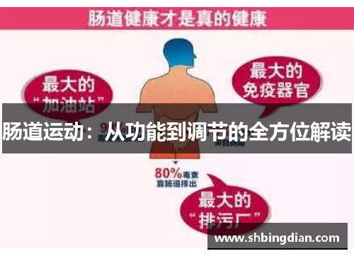 肠道运动：从功能到调节的全方位解读