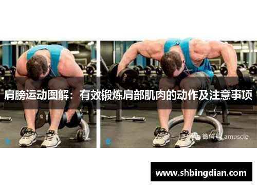 肩膀运动图解：有效锻炼肩部肌肉的动作及注意事项