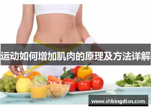 运动如何增加肌肉的原理及方法详解